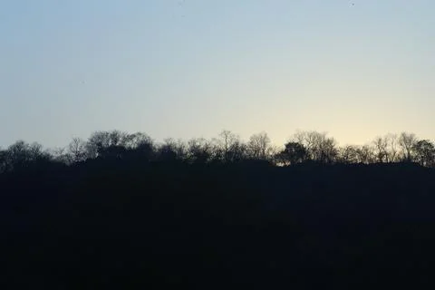 Tree silhouette in Nature Stock Photos