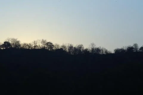 Tree silhouette in Nature Stock Photos