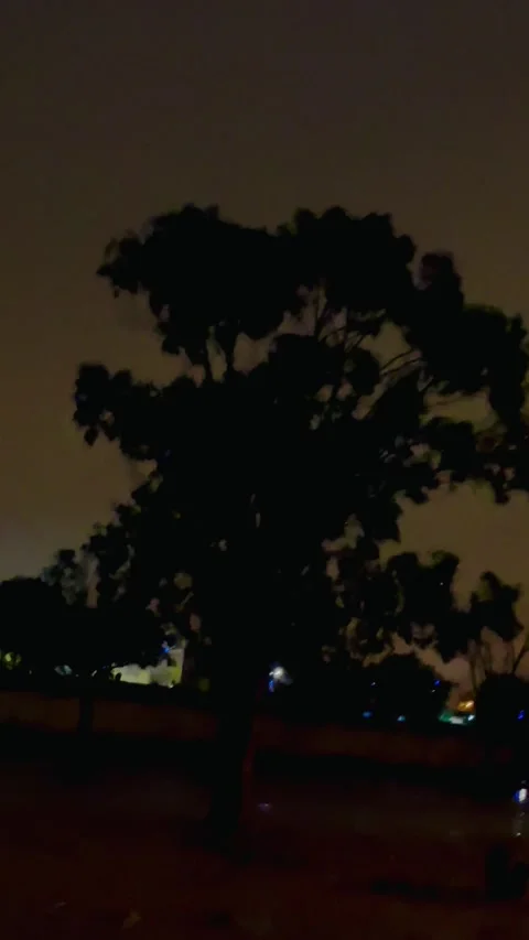 Tree Silhouette at Night Under Cloudy Sky Video stock 328179808