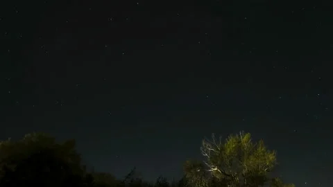 Tree silhouette over night starry sky with stars motion,deep space universe 4k Stock Footage 231530867