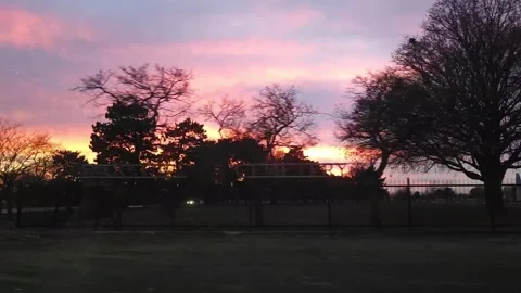 Tree Silhouette in Pink Sunset Approaching Gate Entrance Stock Footage 321610986