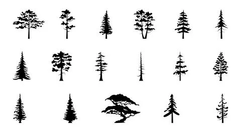 Tree silhouette set Pine and forest tree vector collection Stock Illustration