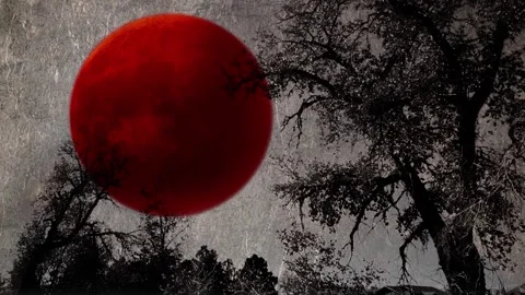 Tree Silhouette with Silver Liquid Sky and Red Moon 4K Loop Stock Footage 256616309