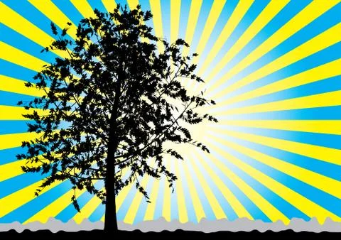 Tree silhouette on sky rays background. Stock Illustration