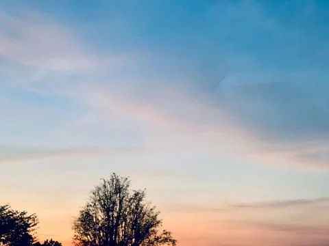 Tree Silhouette Soft Pastel Sunset Sky Dusk Jakarta Indonesia Stock Photos