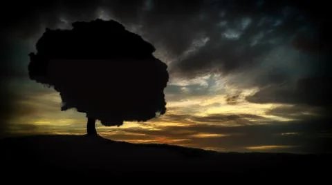 Tree silhouette in a sunset with clouds. Copy Space. Stock Photos