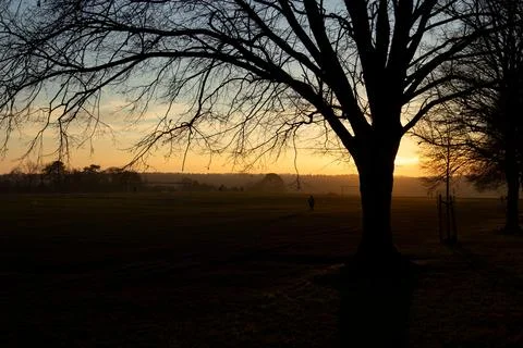 Tree Silhouette At Sunset On The Downs Parkland In Bristol England UK Stock Photos