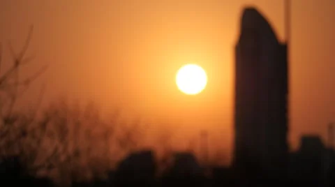 The tree silhouette in the sunset Stock Footage 60422915