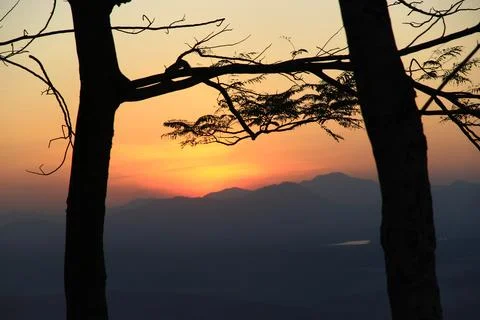 Tree silhouette sunset over trees on the hill in hot summer evening beautif.. Stock Photos