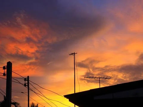 Tree silhouette sunset over trees on the hill in hot summer evening beautif.. Foto stock