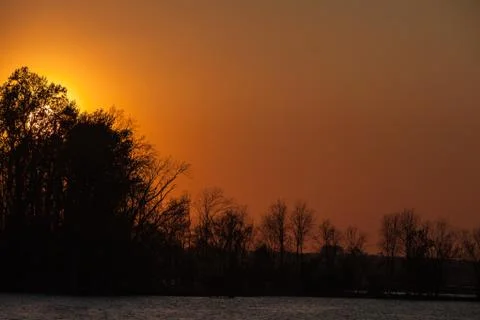 Tree  Silhouette at Sunset Stock Photos