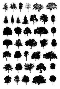 Tree silhouette vector Stock Illustration