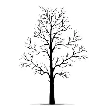 Tree silhouette vector Stock Illustration