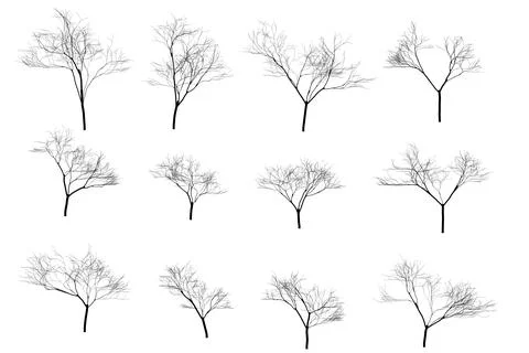 Tree Silhouette Vector for Landscape and Nature Themes Stock Illustration