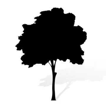 Tree silhouette on white background vector Stock Illustration