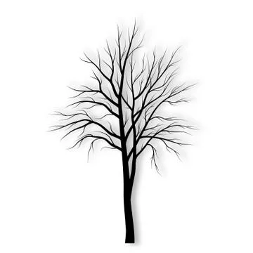 Tree silhouette on white background vector Stock Illustration