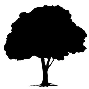 Tree silhouette on white background vector Stock Illustration