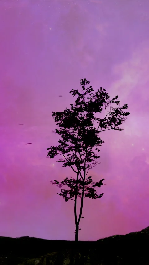 Tree silhouette in the wind vertical Stock Footage 346004531