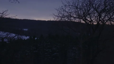 Tree silhouette winter mountain in dusk blue hour cloudy Vídeo Stock 255467554