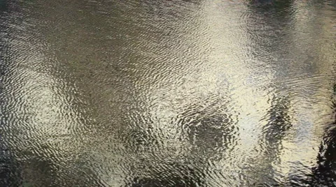 Tree silhouettes and facades reflection in water Stock Footage 57760535