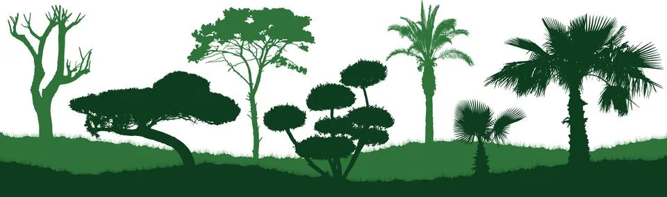 Tree silhouettes creating horizontal natural landscape banner. Diverse tree.. Stock Illustration