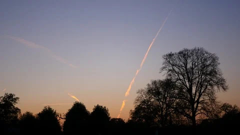Tree silhouettes during the sunset and contrails on the evening sky Stock Footage 94149636