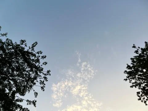 Tree Silhouettes Framing Sunny Cloud Sky 写真素材