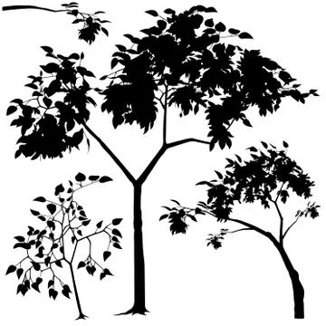 Tree Silhouettes Stock Illustration