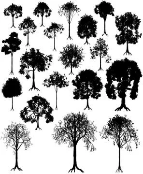Tree silhouettes Stock Illustration