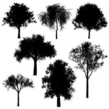 Tree silhouettes Illustrazione stock
