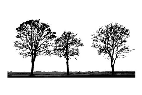 Tree silhouettes isolated on white background. Stock Illustration