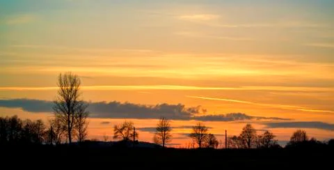 Tree silhouettes Stock Photos