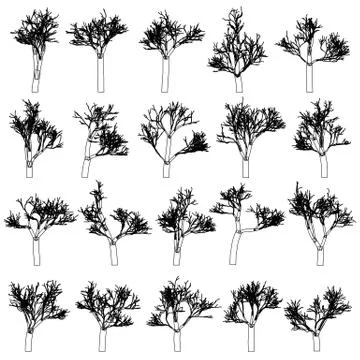 Tree silhouettes set, hand drawn vector design elements Illustrazione stock