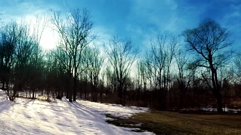 Tree silhouettes on snow at Sundown Time Lapse No.3 Video stock 48589407
