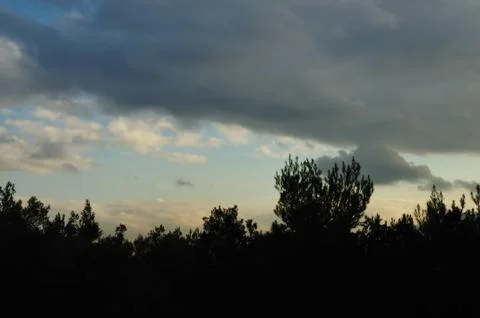 Tree silhouettes sunset sky Stock Photos