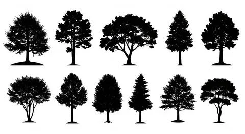 Tree Silhouettes Vector Collection different tree in one illustration Illustrazione stock