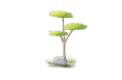 Tree sketch illustration by markers. Stock Illustration