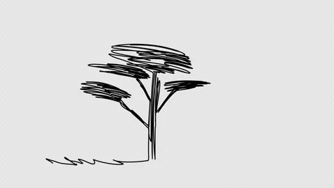 Tree sketch, one line drawing animation. Video clip with alpha channel. Stock Footage 310268104