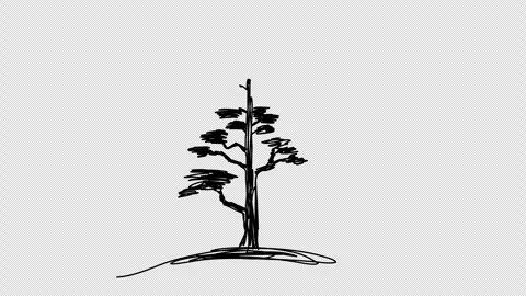 Tree sketch, one line drawing animation. Video clip with alpha channel. Stock Footage 312233628