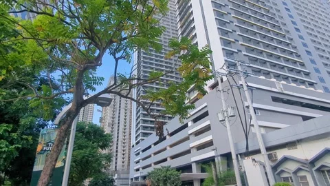 Tree, Sky and Condo Building 動画素材 251767514