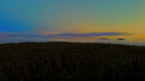 Tree Sky Video stock 117137137