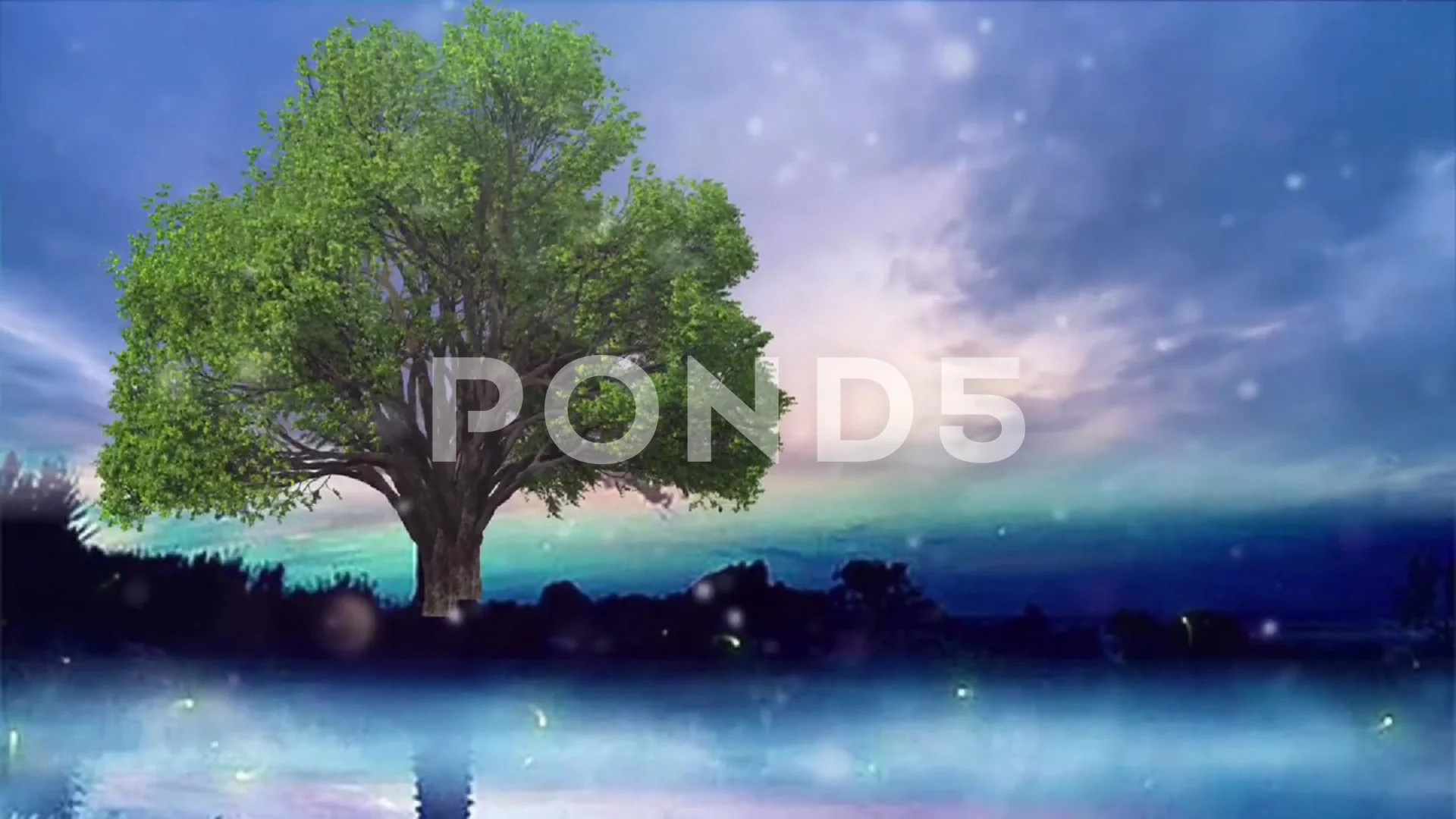 Tree with sky, Mother Nature animated Ar... | Stock Video | Pond5