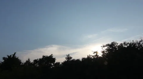 Tree Sky Silhouette Stock Footage 60115507