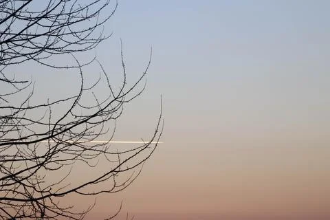 Tree sky in three colors and trace of plane with copy space. Stock Photos