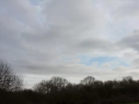 Tree Skyline Stock Photos