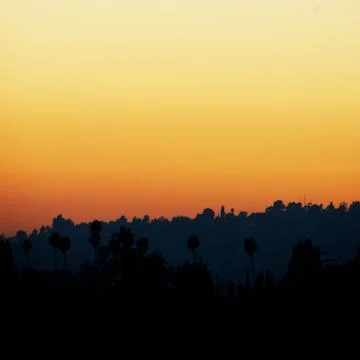 TREE SKYLINE 스톡 사진