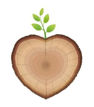 Tree Slice Sprout Branch Heart Shaped Love Nature 스톡 일러스트