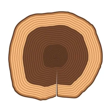 Tree slices vector isolated Illustrazione stock
