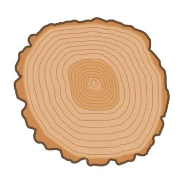 Tree slices vector isolated Illustrazione stock