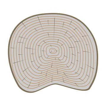 Tree slices vector isolated Stock Illustration